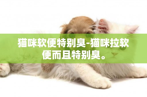 貓咪軟便特別臭-貓咪拉軟便而且特別臭。