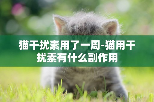 貓干擾素用了一周-貓用干擾素有什么副作用
