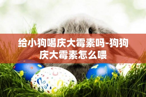給小狗喝慶大霉素嗎-狗狗慶大霉素怎么喂