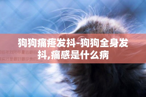狗狗痛疼發抖-狗狗全身發抖,痛感是什么病