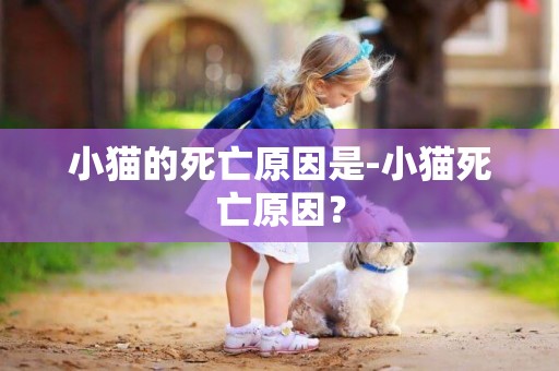 小貓的死亡原因是-小貓死亡原因？