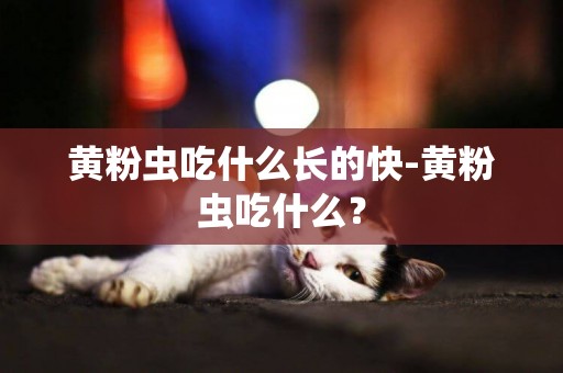 黃粉蟲吃什么長的快-黃粉蟲吃什么？