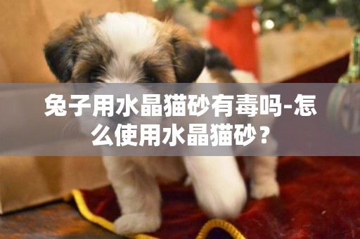 兔子用水晶貓砂有毒嗎-怎么使用水晶貓砂？