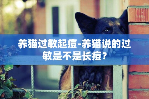 養貓過敏起痘-養貓說的過敏是不是長痘？