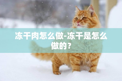 凍干肉怎么做-凍干是怎么做的？