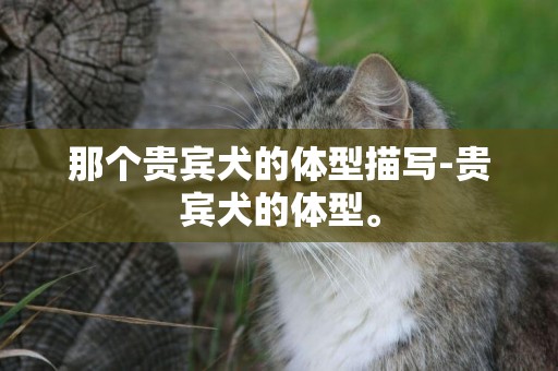 那個貴賓犬的體型描寫-貴賓犬的體型。