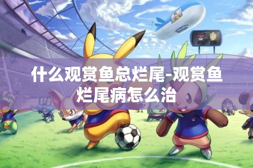 什么觀賞魚總爛尾-觀賞魚爛尾病怎么治