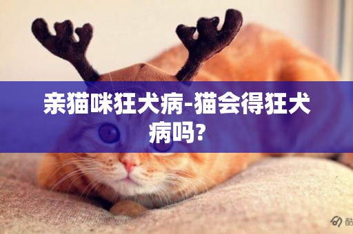 親貓咪狂犬病-貓會得狂犬病嗎?