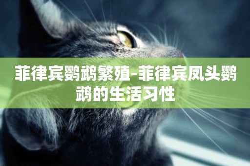 菲律賓鸚鵡繁殖-菲律賓鳳頭鸚鵡的生活習性