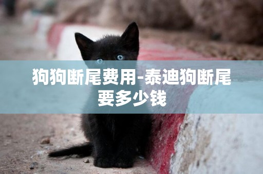 狗狗斷尾費用-泰迪狗斷尾要多少錢