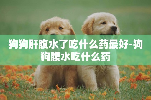 狗狗肝腹水了吃什么藥最好-狗狗腹水吃什么藥