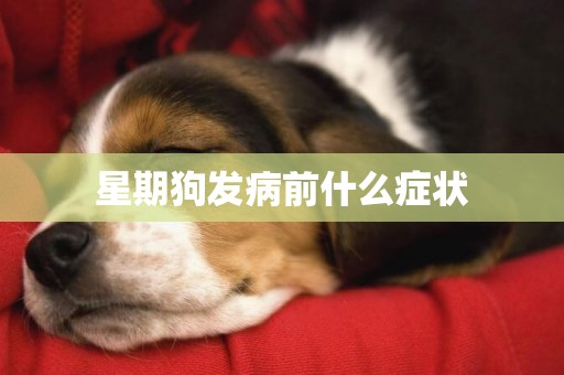 星期狗發病前什么癥狀