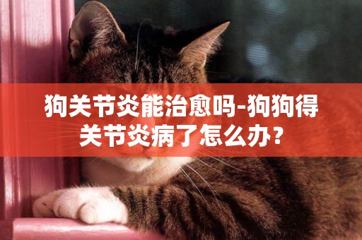 狗關節炎能治愈嗎-狗狗得關節炎病了怎么辦？
