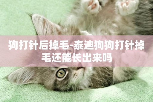 狗打針后掉毛-泰迪狗狗打針掉毛還能長出來嗎