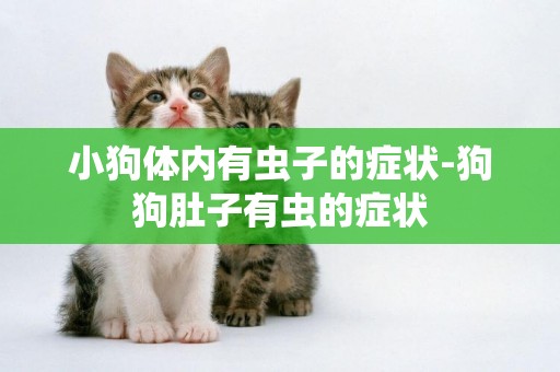 小狗體內有蟲子的癥狀-狗狗肚子有蟲的癥狀