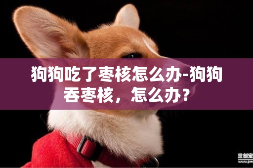 狗狗吃了棗核怎么辦-狗狗吞棗核，怎么辦？