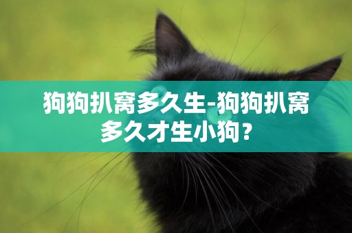 狗狗扒窩多久生-狗狗扒窩多久才生小狗？