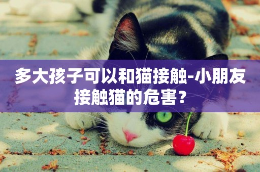 多大孩子可以和貓接觸-小朋友接觸貓的危害？
