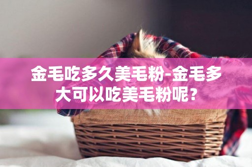 金毛吃多久美毛粉-金毛多大可以吃美毛粉呢？