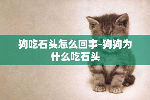 狗吃石頭怎么回事-狗狗為什么吃石頭