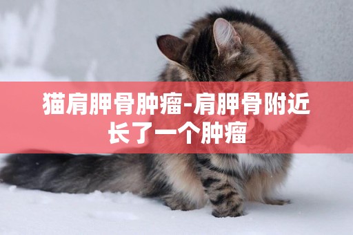 貓肩胛骨腫瘤-肩胛骨附近長了一個腫瘤