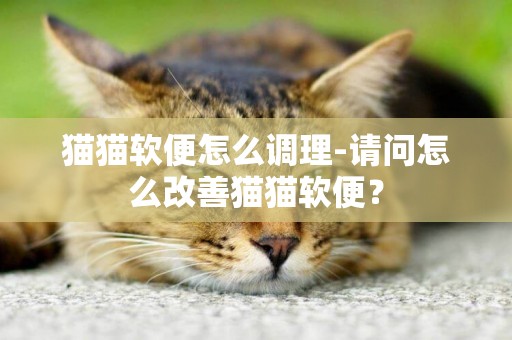 貓貓軟便怎么調理-請問怎么改善貓貓軟便？