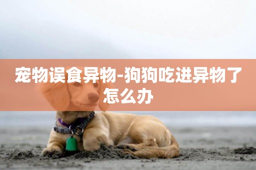 寵物誤食異物-狗狗吃進異物了怎么辦