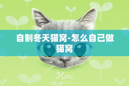 自制冬天貓窩-怎么自己做貓窩