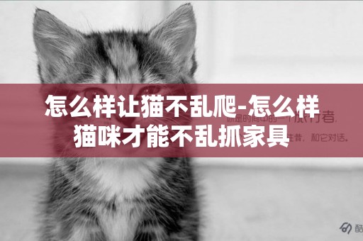 怎么樣讓貓不亂爬-怎么樣貓咪才能不亂抓家具