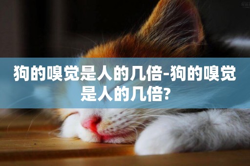 狗的嗅覺是人的幾倍-狗的嗅覺是人的幾倍?