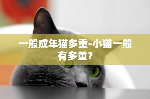 一般成年貓多重-小貓一般有多重？