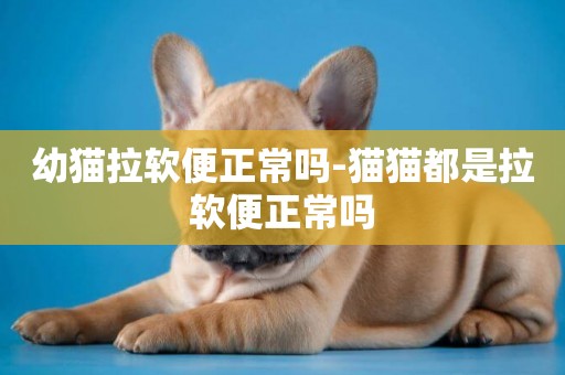 幼貓拉軟便正常嗎-貓貓都是拉軟便正常嗎