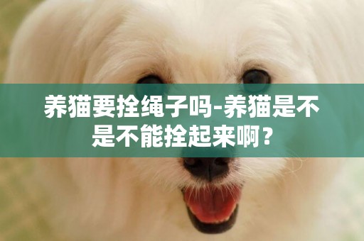 養貓要拴繩子嗎-養貓是不是不能拴起來啊？