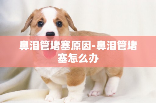 鼻淚管堵塞原因-鼻淚管堵塞怎么辦