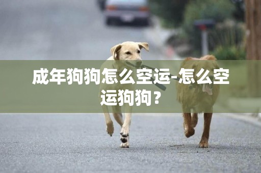 成年狗狗怎么空運-怎么空運狗狗？