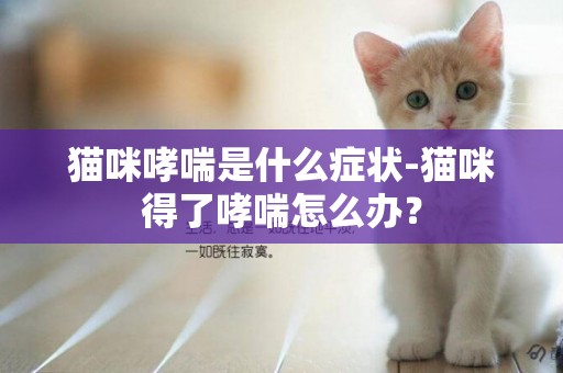 貓咪哮喘是什么癥狀-貓咪得了哮喘怎么辦？