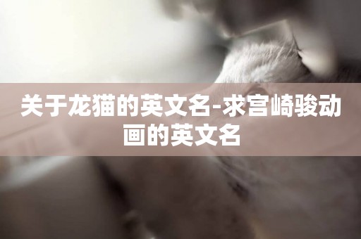 關于龍貓的英文名-求宮崎駿動畫的英文名