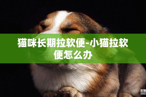貓咪長期拉軟便-小貓拉軟便怎么辦