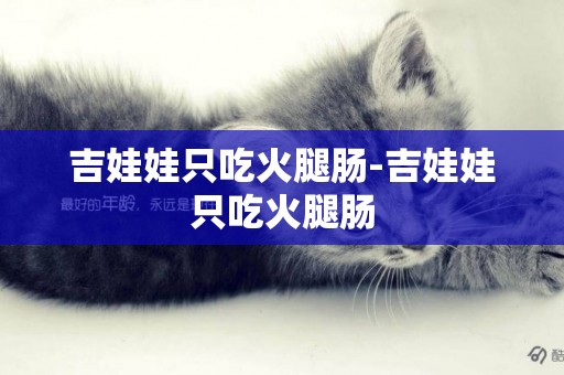 吉娃娃只吃火腿腸-吉娃娃只吃火腿腸