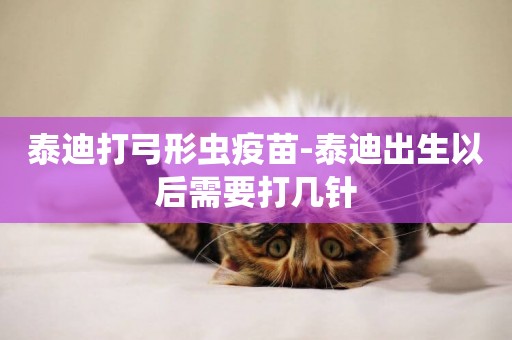 泰迪打弓形蟲疫苗-泰迪出生以后需要打幾針