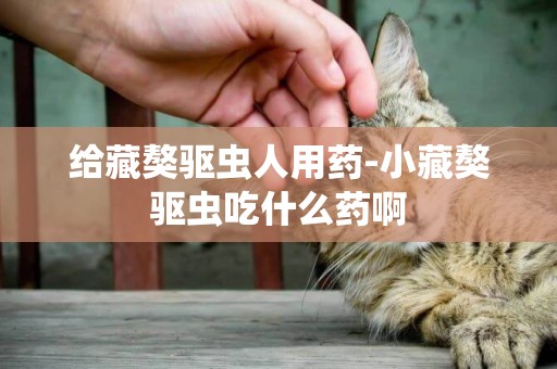 給藏獒驅蟲人用藥-小藏獒驅蟲吃什么藥啊