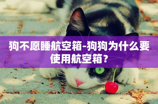 狗不愿睡航空箱-狗狗為什么要使用航空箱？
