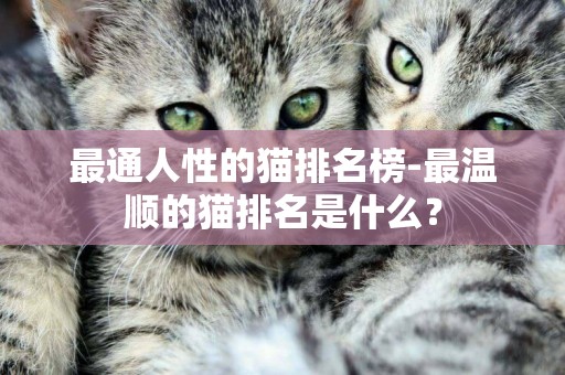最通人性的貓排名榜-最溫順的貓排名是什么？