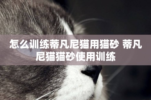 怎么訓練蒂凡尼貓用貓砂 蒂凡尼貓貓砂使用訓練