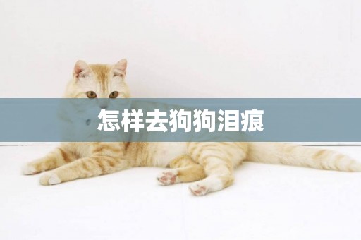 怎樣去狗狗淚痕