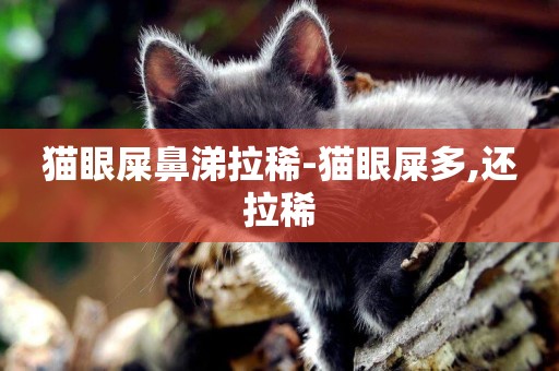 貓眼屎鼻涕拉稀-貓眼屎多,還拉稀