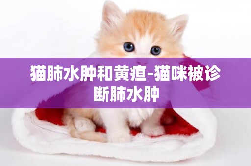 貓肺水腫和黃疸-貓咪被診斷肺水腫