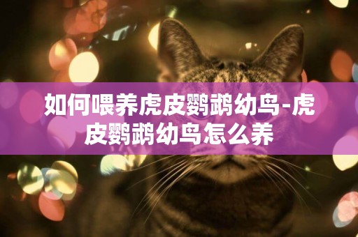 如何喂養虎皮鸚鵡幼鳥-虎皮鸚鵡幼鳥怎么養