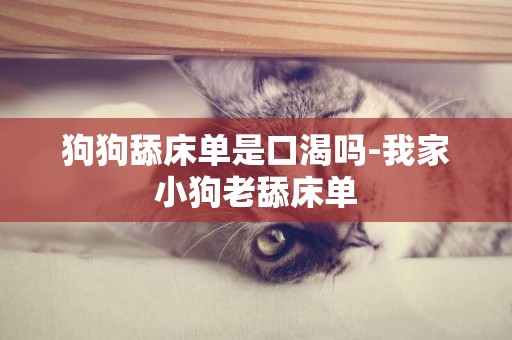 狗狗舔床單是口渴嗎-我家小狗老舔床單
