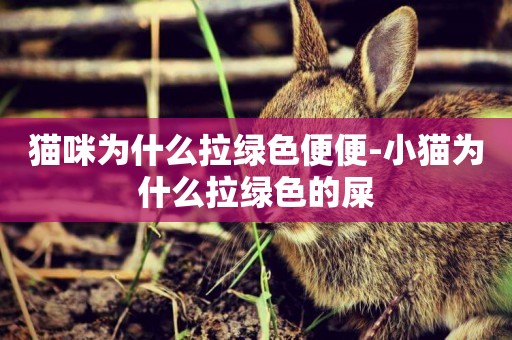 貓咪為什么拉綠色便便-小貓為什么拉綠色的屎
